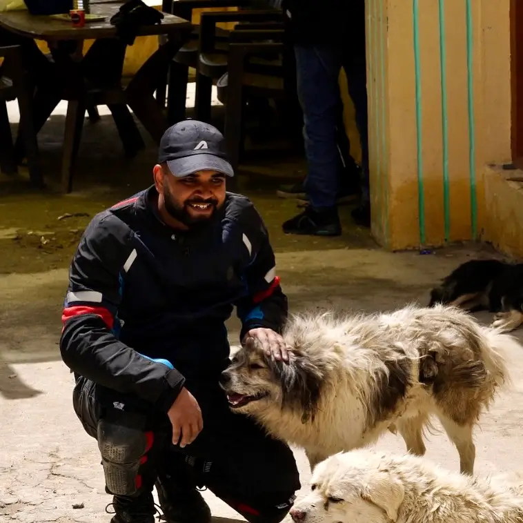 A man playing with dogs and being happy